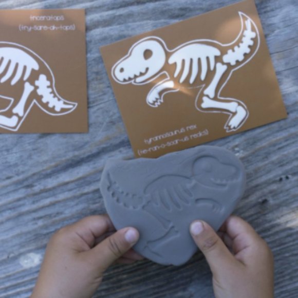 KiwiCo Koala Crate Dinosaurs Box - Picture 3 of 5